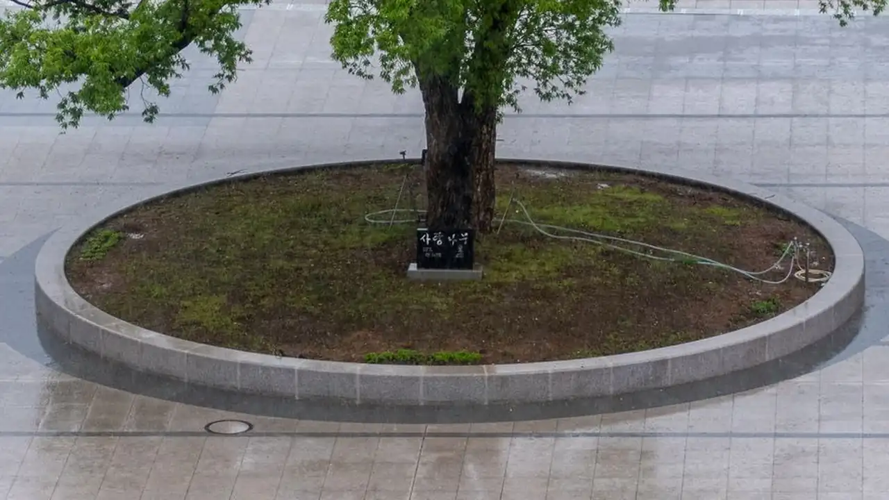 陈喜雯头像