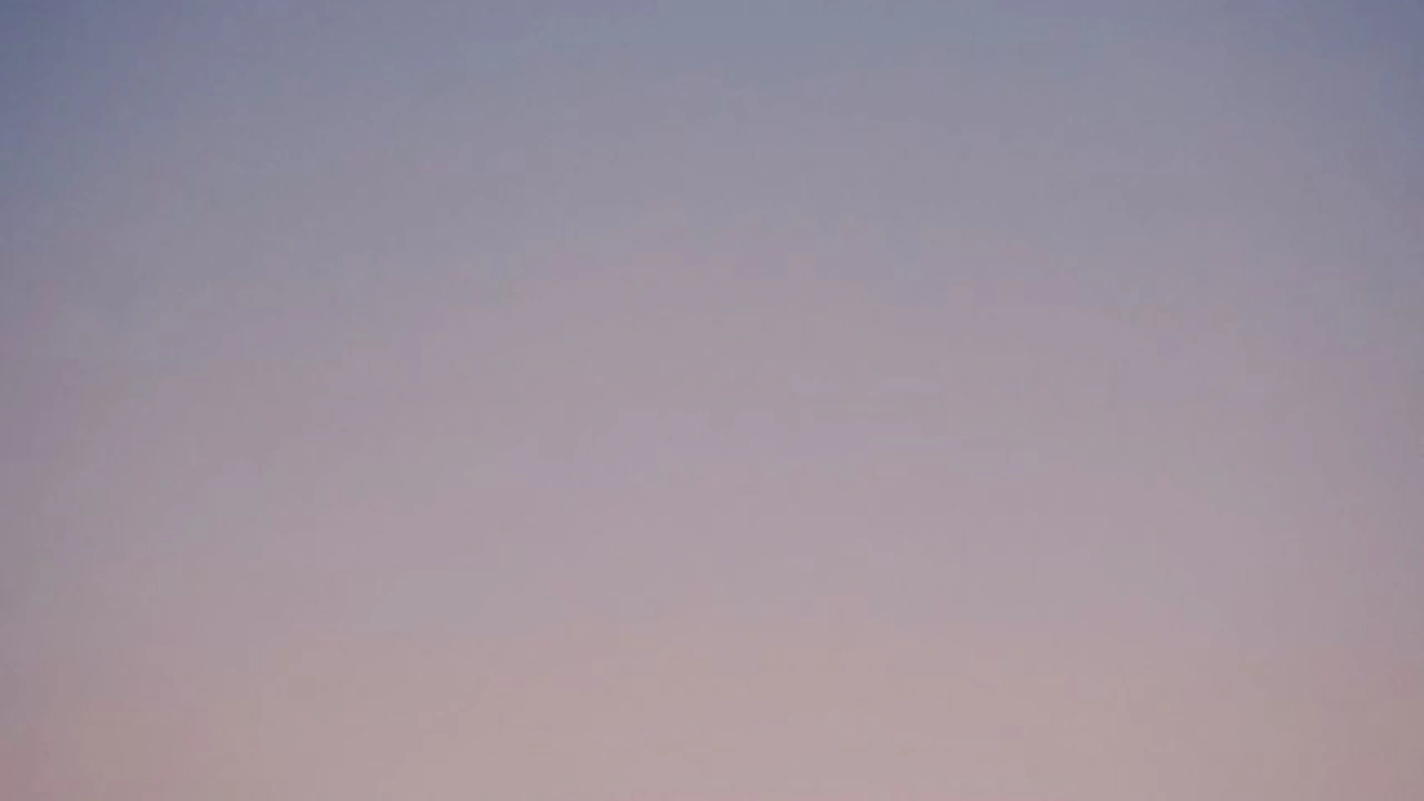 金育木头像